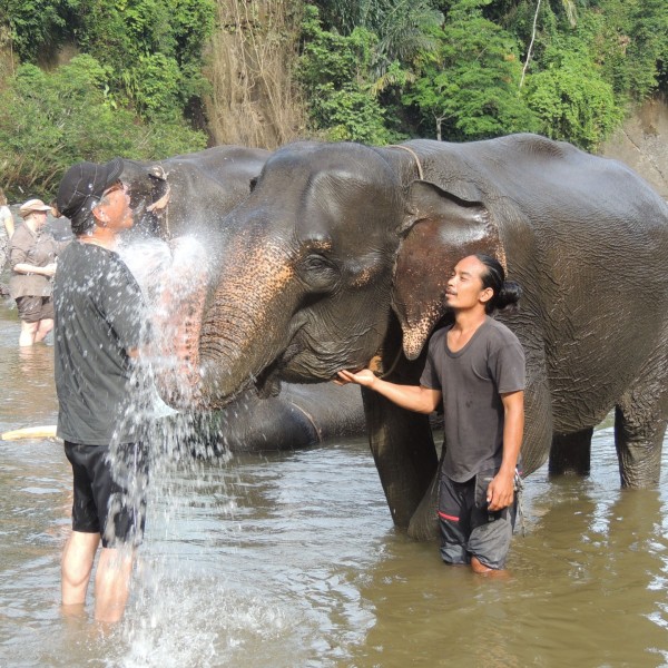 1. インドネシアの自然と生態系