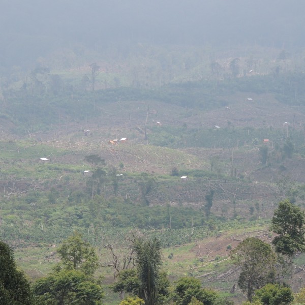 クリンチ・スブラット国立公園内にある違法入植者の家々（ジャンビ州）。
